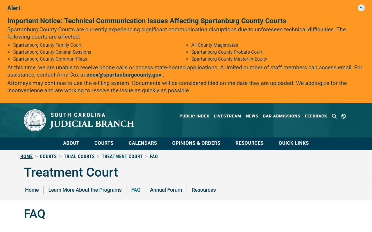 Jasper County court dockets treatment court FAQ