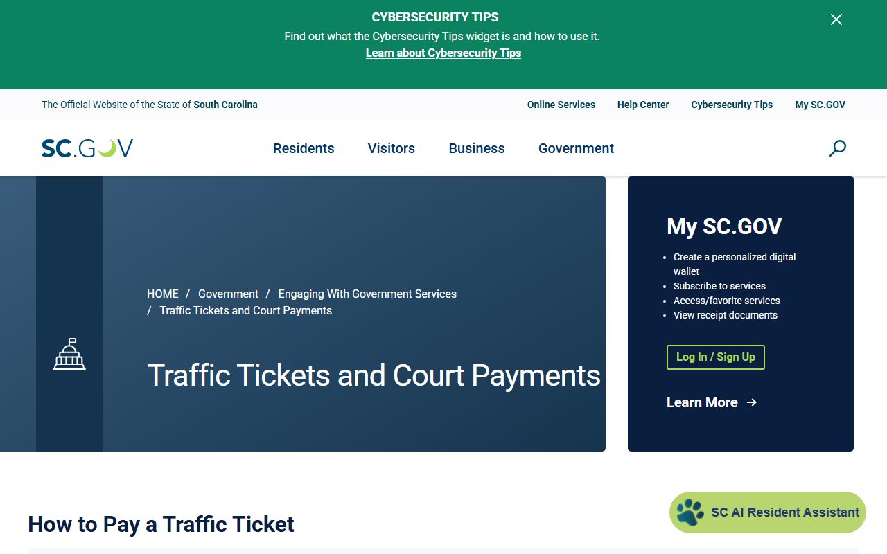 Jasper County traffic court records SC.GOV ticket payment source